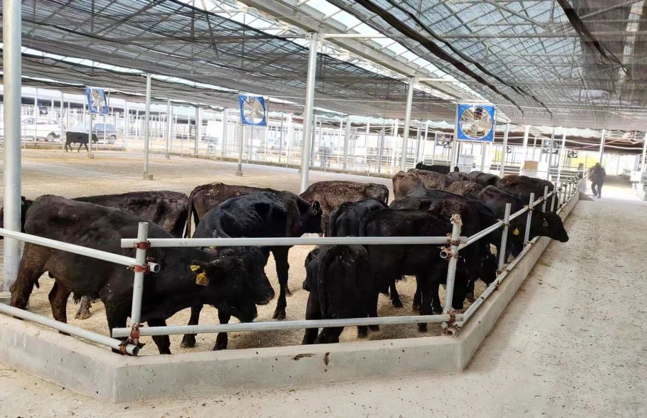 1698029011675617.jpg 1698029011675617.jpg